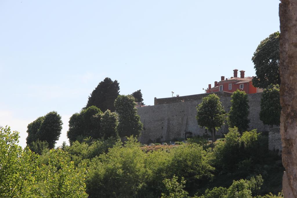Provvidenza Villa Motovun Rum bild